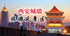 soe点欧美日韩性爱操逼片中国陕西-西安城墙旅游风景区